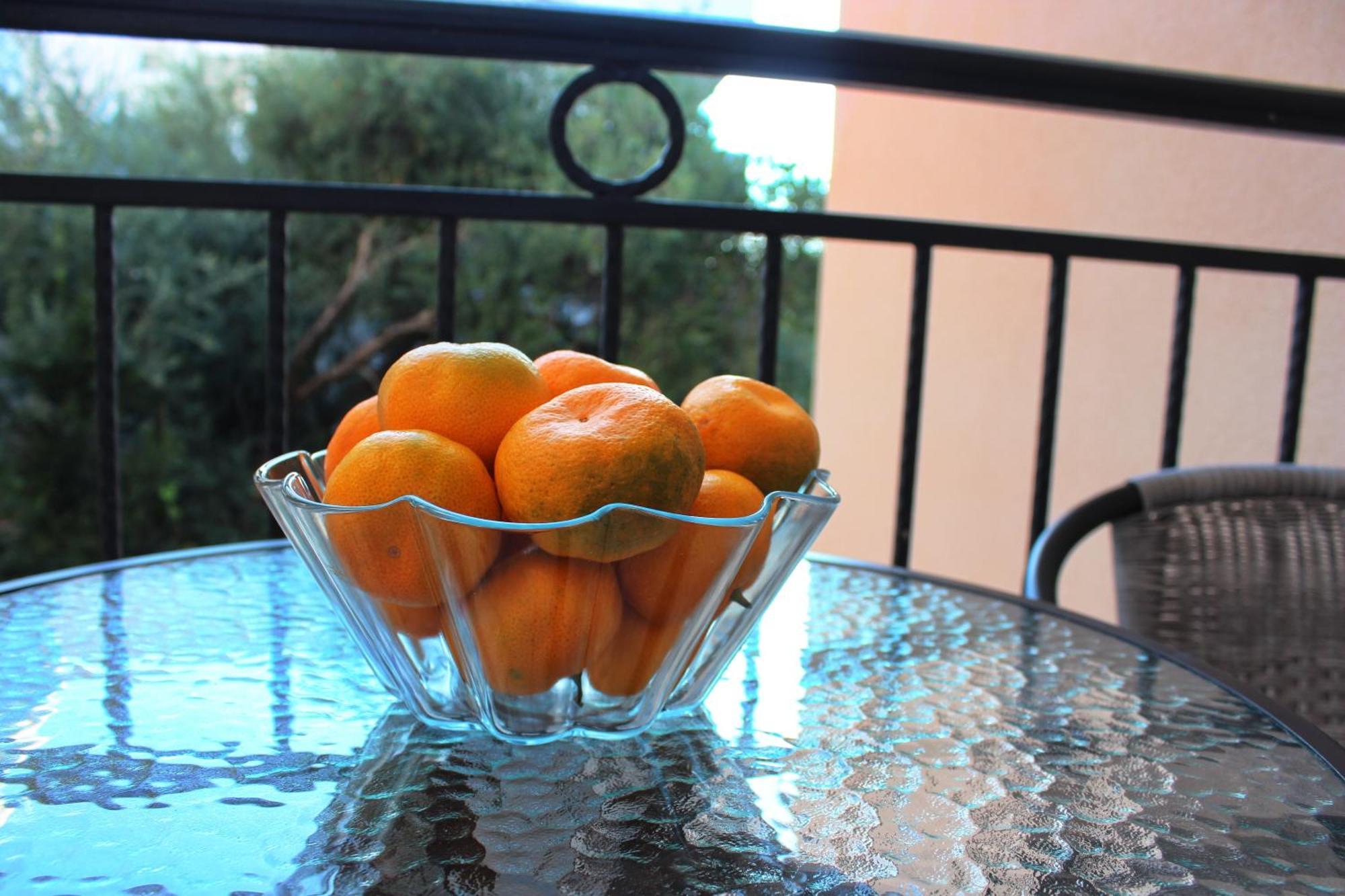 Apartments Balabusic Budva Room photo